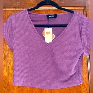 Cider Mauve Ribbed V-Neck Crop Top